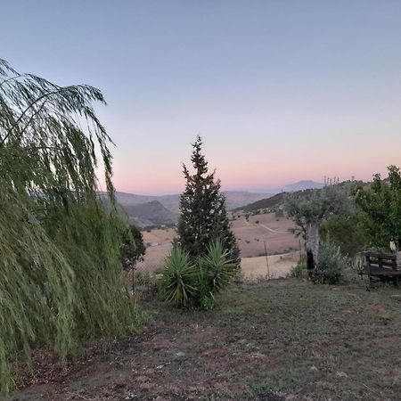 Agriturismo La Stragola Нікозія Екстер'єр фото