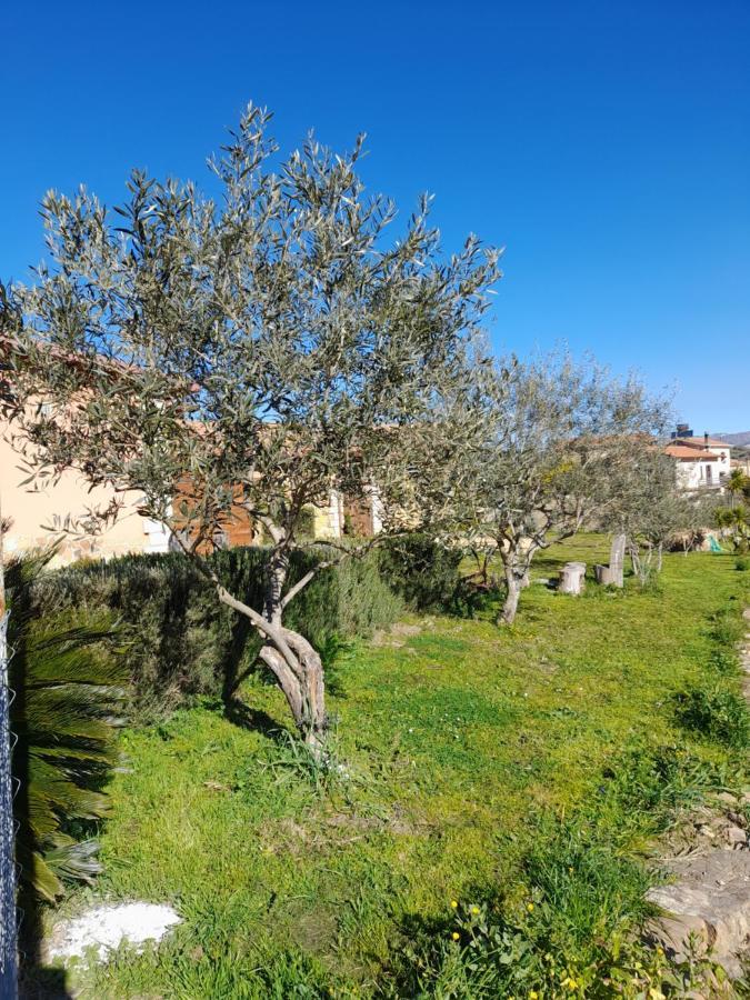 Agriturismo La Stragola Нікозія Екстер'єр фото
