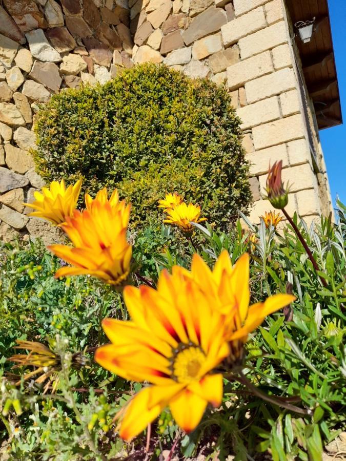 Agriturismo La Stragola Нікозія Екстер'єр фото